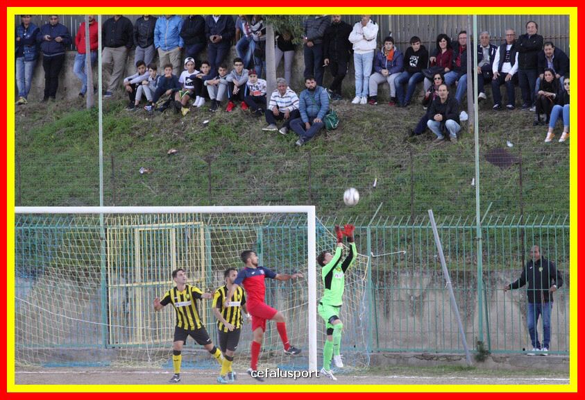 181111 Cepha_Milazzo 169_tn.JPG